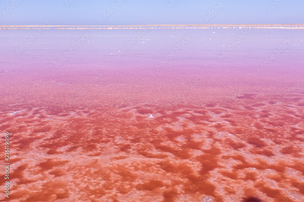 Fototapeta premium Pink salt lake