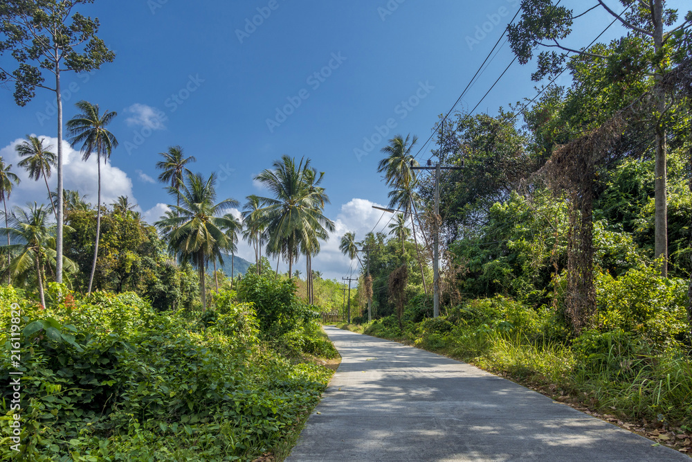 Road through lush vegetation on Koh Samui, Thailand, Asia