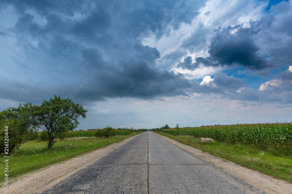 Fototapeta premium Road vainishing into the sunset
