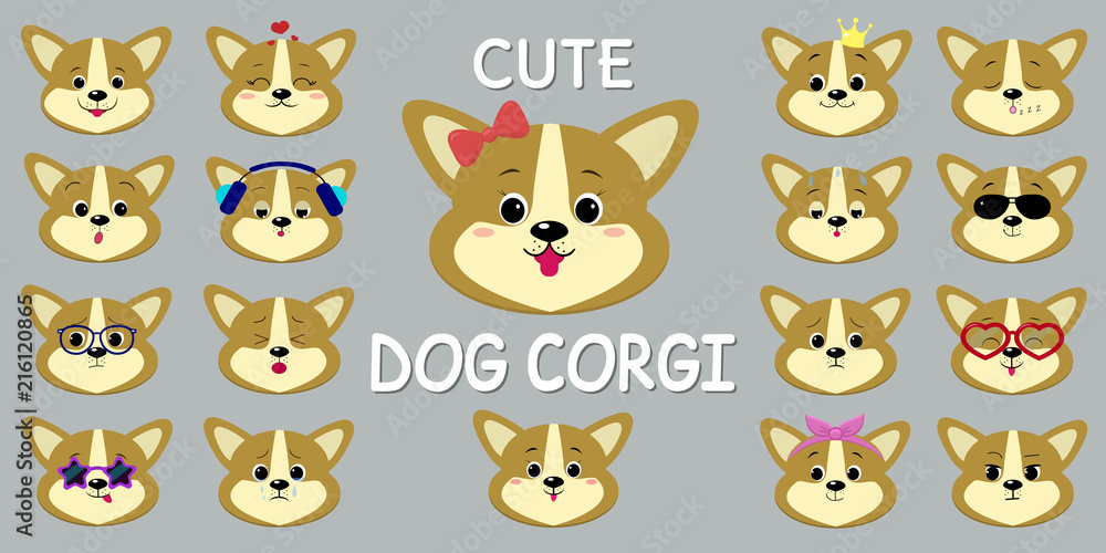 Obraz premium Dog Corgi smiley, a set of different emotions.