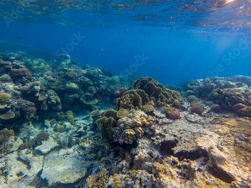 Fototapeta Naklejka Na Ścianę i Meble -  Underwater panorama with fish and coral