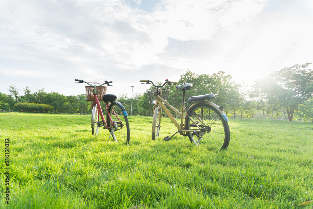 Obraz premium Bicycle on green grass at public park.