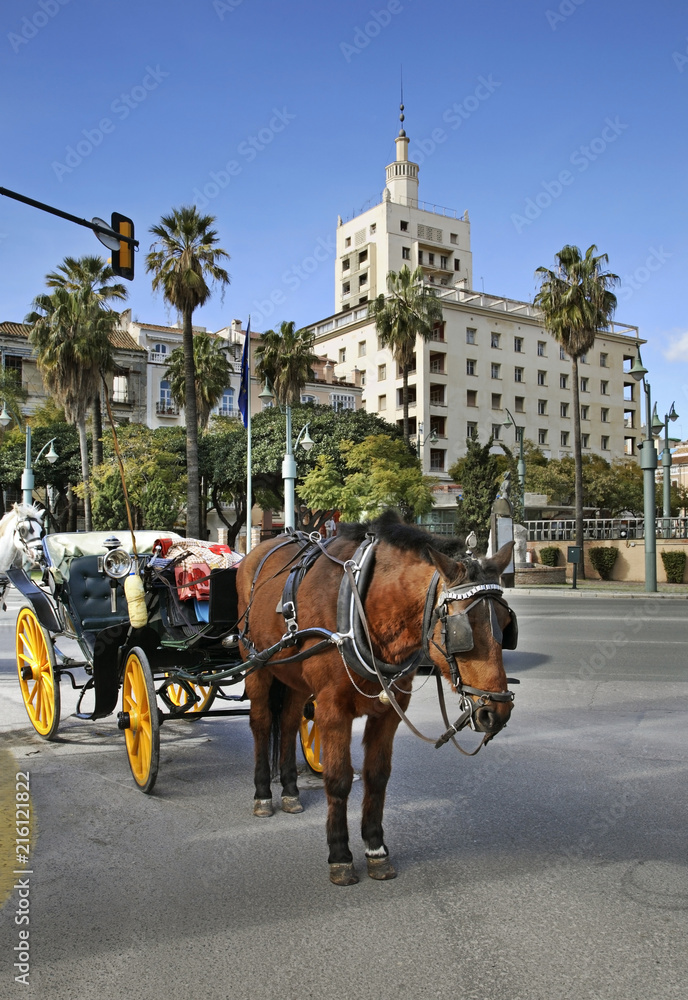 Horse carriage at Marina Square in Malaga. Spain