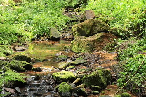 Die Lochbachklamm bei Wallenstein photo