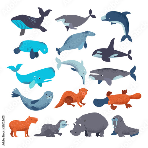 Sea mammal vector water animal character dolphin walrus and whale in sealife or ocean illustration marine set of seal or hippo illustration set isolated on white background