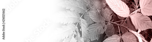 Panel kuchenny z motywem foliage