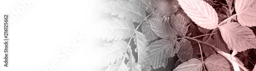 Panel kuchenny z motywem foliage