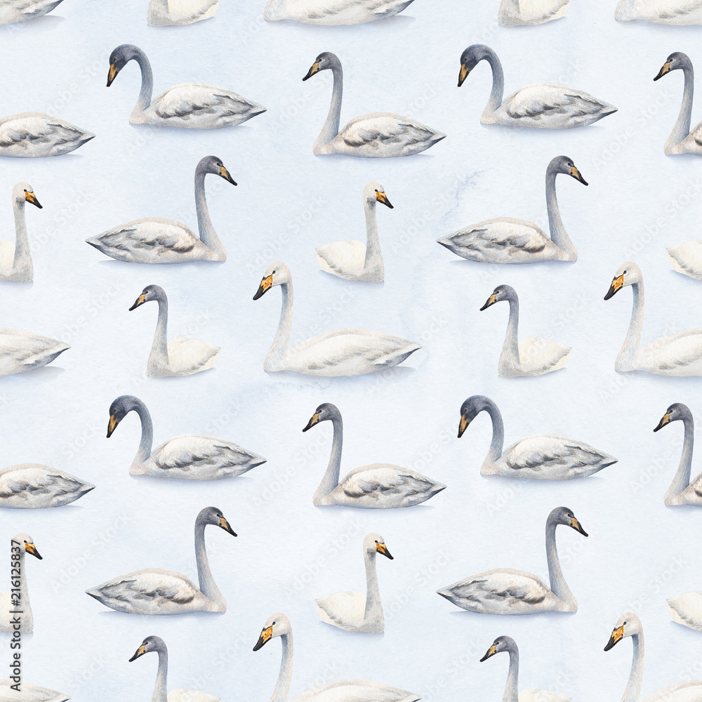 Obraz premium Watercolor illustration of white mute swan. Seamless pattern