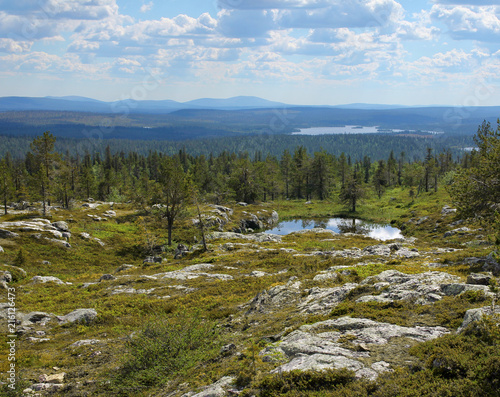 Fototapeta Naklejka Na Ścianę i Meble -  Finnish Lapland summer scenery from fell Sarkitunturi