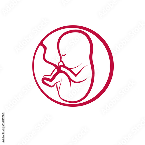 Vector embryo illustration isolated on white. New life beginning drawing.