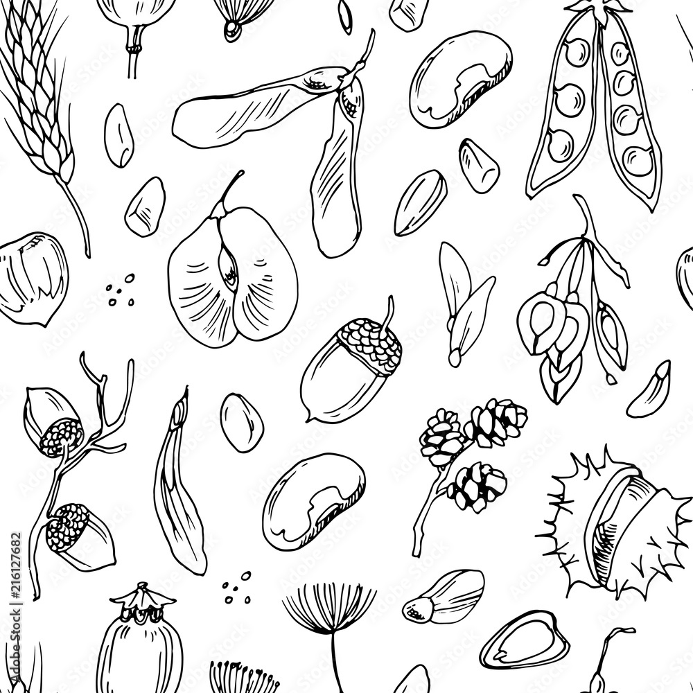 Seamless vector pattern with sketch drawings of different seeds.