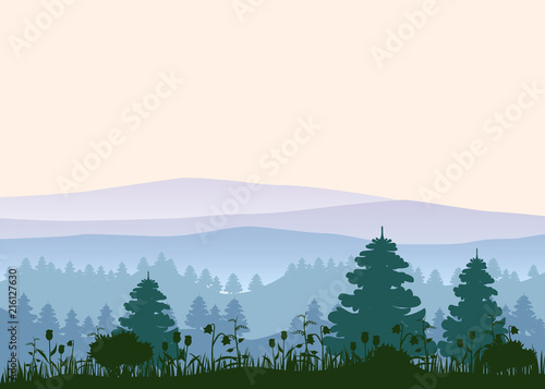 Fototapeta Naklejka Na Ścianę i Meble -  Sunny forest background. Vector illustration of woods in forest in sunlight background. Isolated