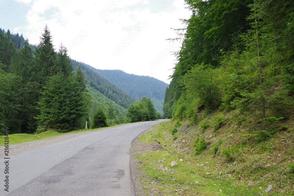 road in the mountains among green trees