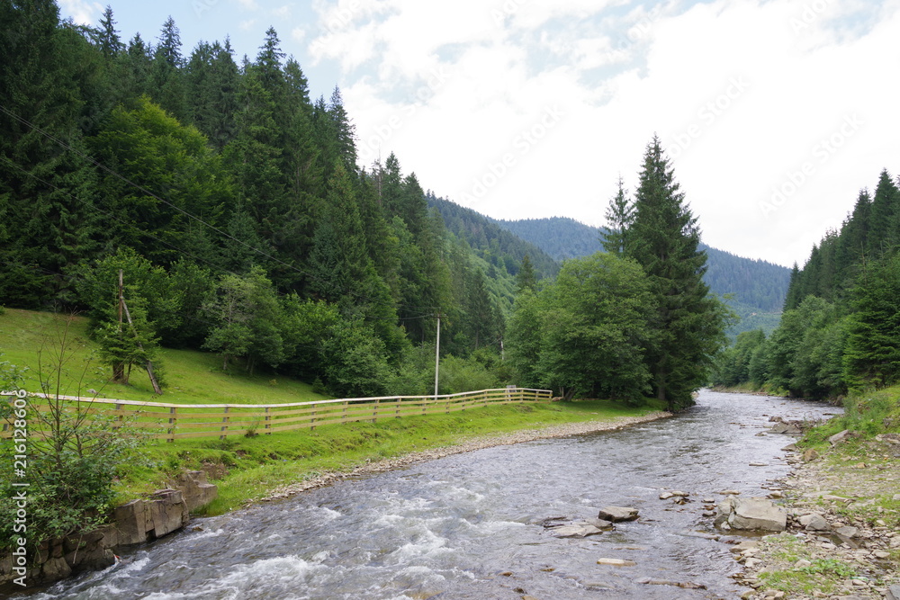 Fototapeta premium mountain river green trees and mountains