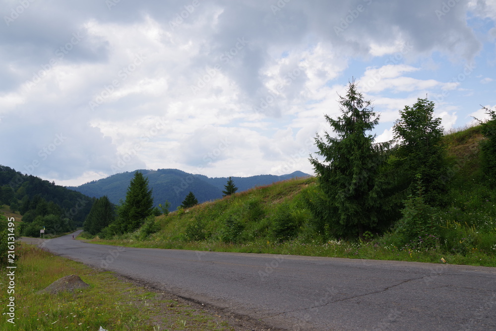 Fototapeta premium road in the mountains among green trees