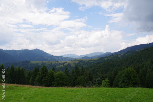 mountain landscapes among fields and green trees © kunetsSCG