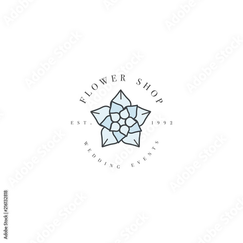 Vector template logo or emblem - wedding events - succulents.. Logo in trendy linear style.