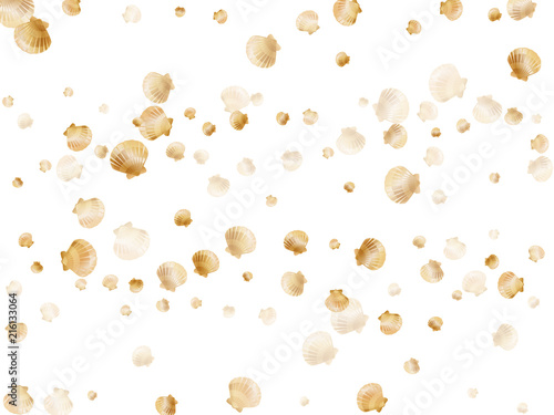 Gold seashell vector graphics, pearl bivalved mollusks illustration.