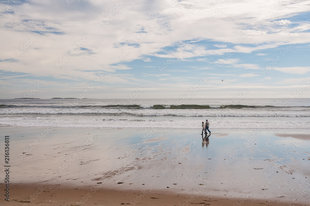 The coast of the Atlantic Ocean at low tide and a pair of elderly people strolling along the sand. USA. Maine.
The coast of the Atlantic Ocean at low tide and a pair of elderly people strolling along the sand. USA. Maine.