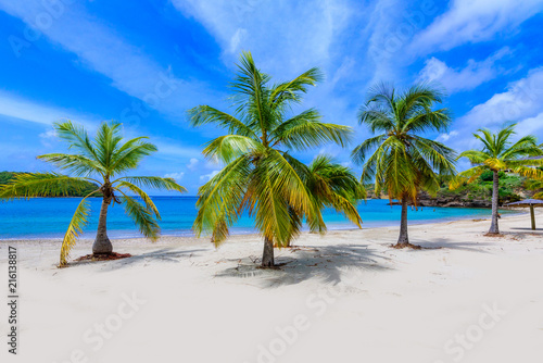 Galleon Beach on Caribbean island Antigua, English Harbour, paradise bay at tropical island in the Caribbean Sea