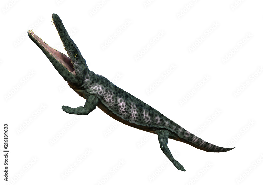3D Rendering Archegosaurus on White 3D Rendering Archegosaurus on White