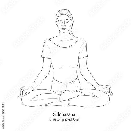 Siddhasana or Accomplished Pose with Chin Mudra. Yoga Practice. Vector. photo