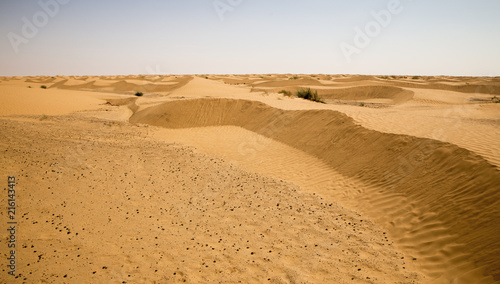 Sand desert  Tunisia