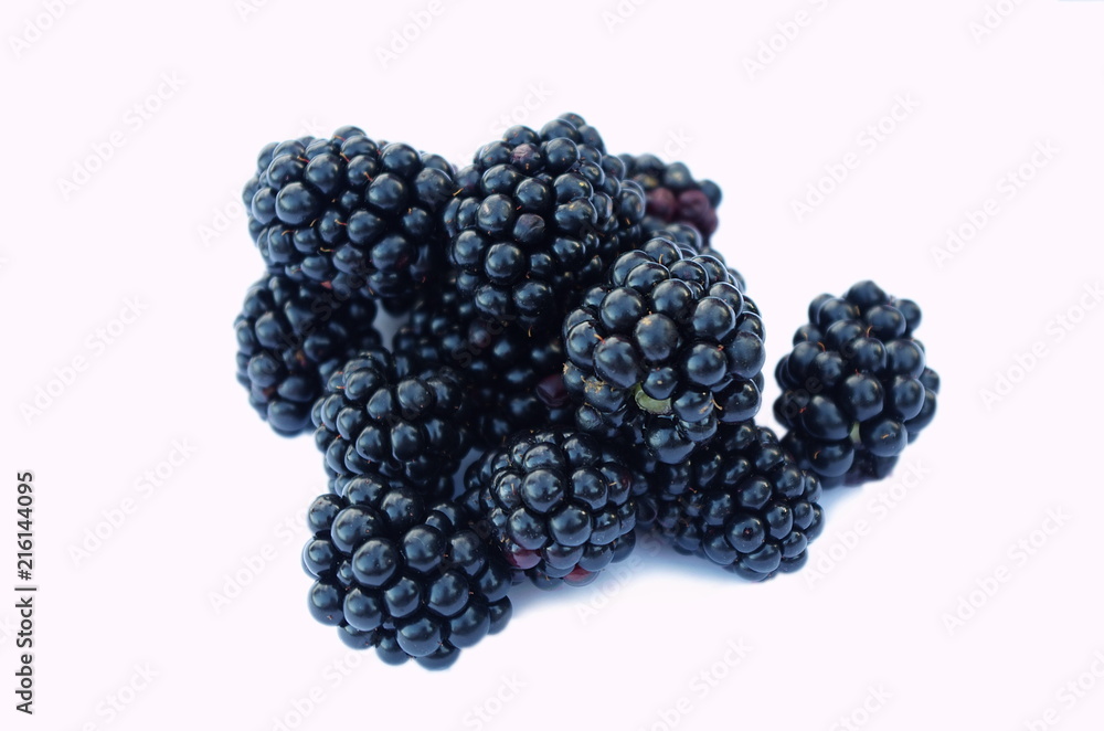 blackberries on the white background blackberries on the white background