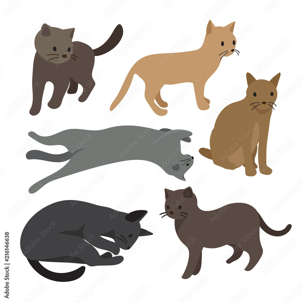 cat vector collection design cat vector collection design