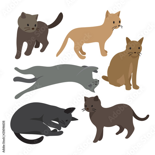 cat vector collection design