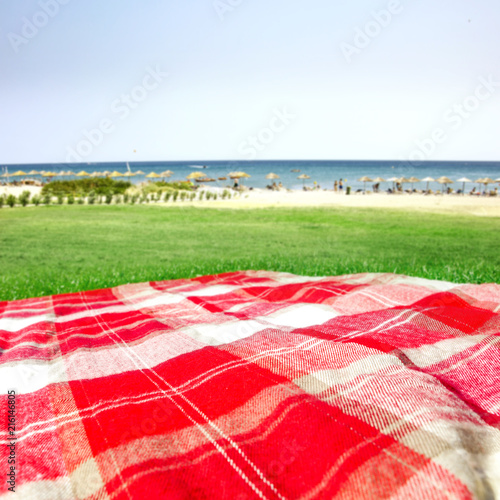 Summer photo of empty blanket on grass and free space for your decoration. 
