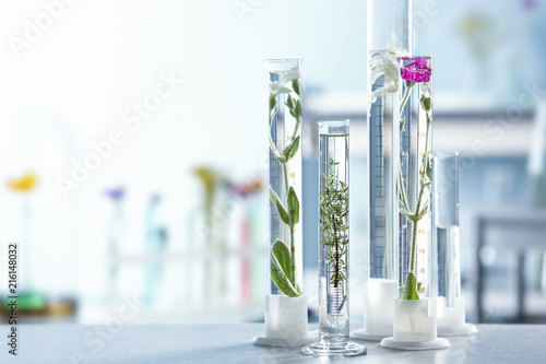 Test tubes with plants and ...