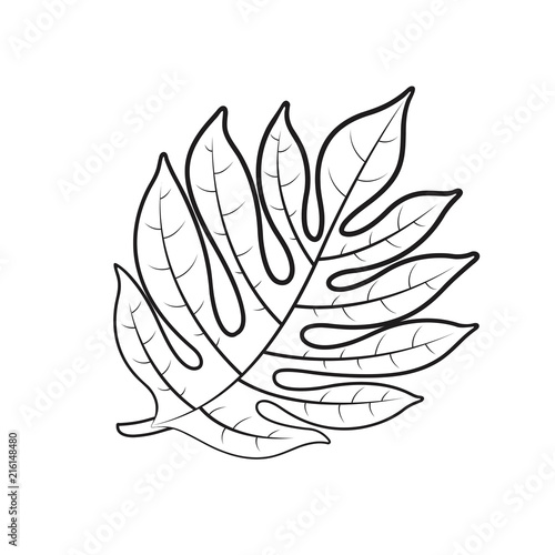 breadfruit leaf isolated on white background vector illustration
