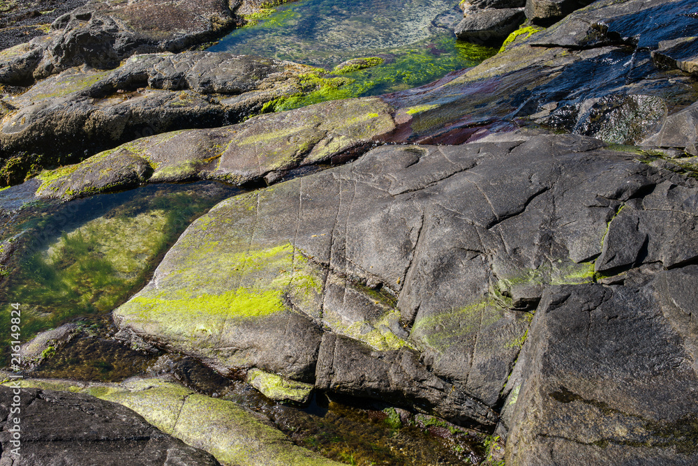 Algen, Moos und Steine / Kvalvika - Lofoten