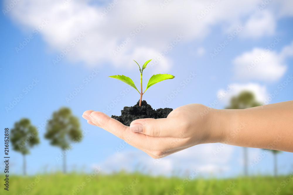 Close up image of human hands holding sprout with blue sky background. Close up image of human hands holding sprout with blue sky background.