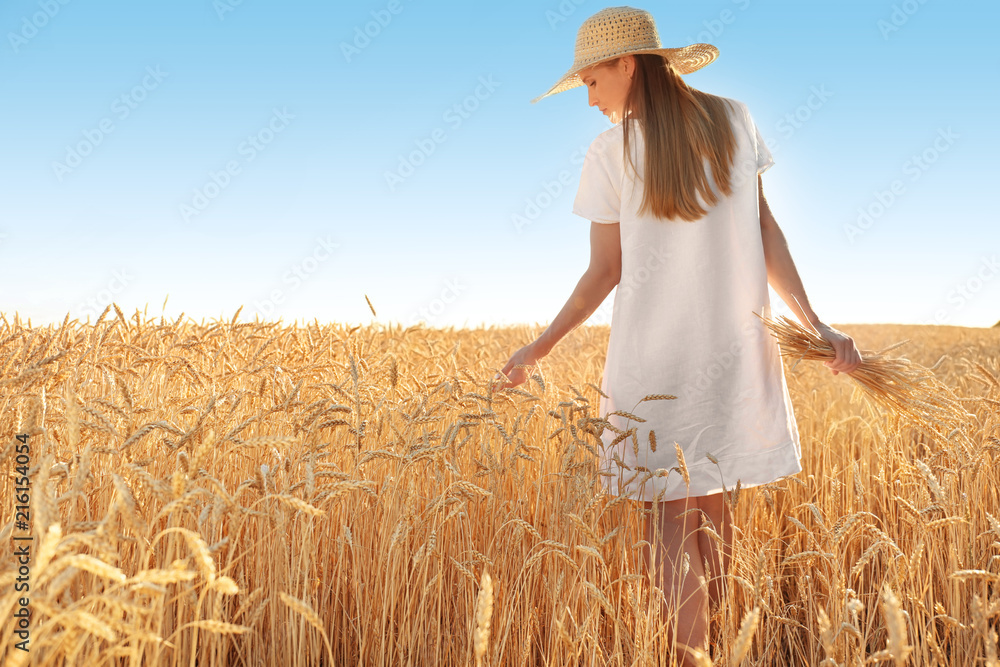 Obraz premium Beautiful woman touching wheat spikelets in field on sunny day