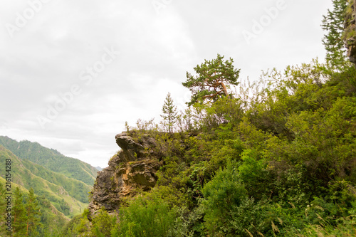 A view of the landscape with the river katun, rocks, nature, with gray clouds in the sky in the mountains of the Altai