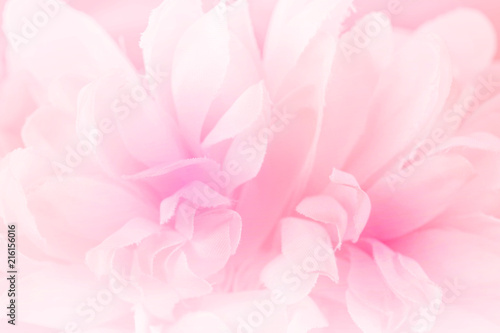 Chrysanthemum flowers in soft pastel color and blur style for background © jintana