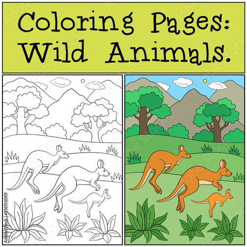 Coloring Pages: Wild Animals. The kangaroo family runs.