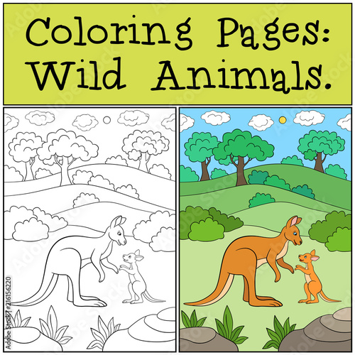 Coloring Pages  Wild Animals. Mother kangaroo with baby.