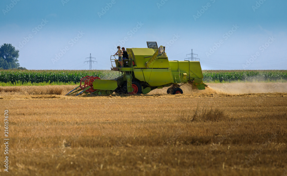 Fototapeta premium Mähdrescher auf dem Feld bei der Ernte