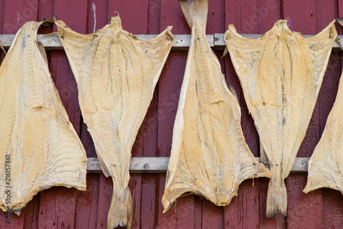 Stockfisch / Lofoten photo