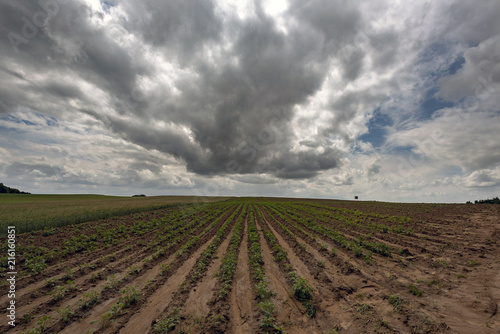 Wide field skyline after rain with dramatic clouds in spring