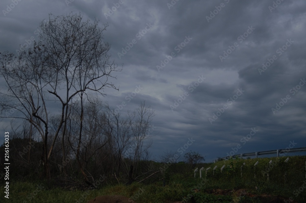Raining season in the Sertão of Brasil Raining season in the Sertão of Brasil