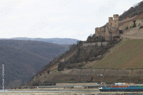Bingen am Rhein Ehrenfels