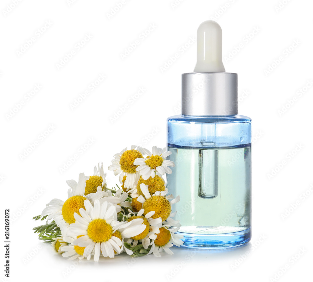 Bottle of essential oil with chamomile flowers on white background Bottle of essential oil with chamomile flowers on white background