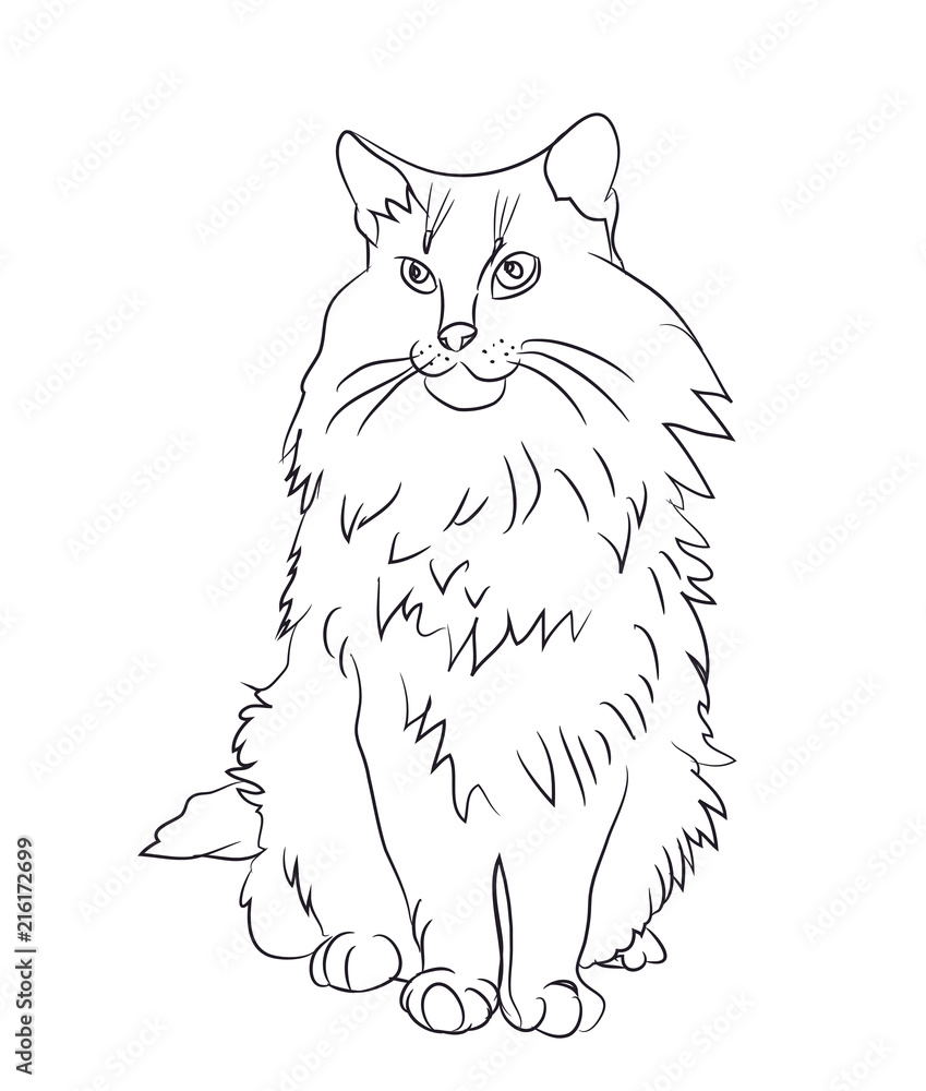 Obraz premium cat lines, vector