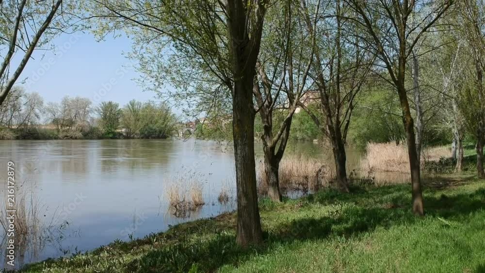 Beautiful views of the town and the river, surrounded by nature, plants, flowers and trees Beautiful views of the town and the river, surrounded by nature, plants, flowers and trees