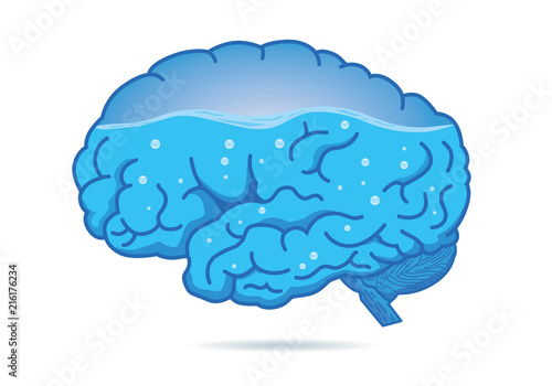 Water inside of the human brain isolated on white background. Illustration about composition of body.