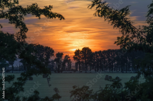 Image of a sunset of extraordinary beauty over a forest in the countryside.
